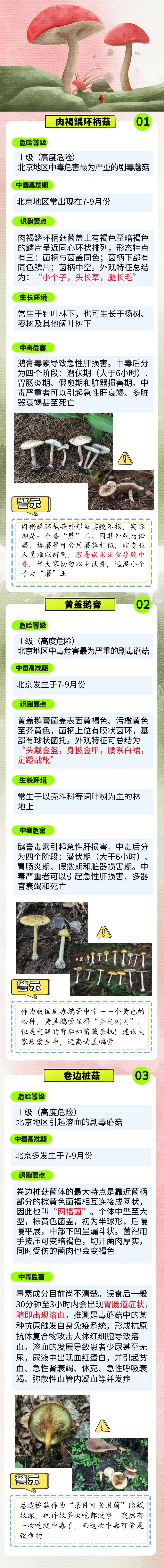 雨后大量出现,可致人中毒!提醒→ 雨后大量出现,可致人中毒!提醒→
