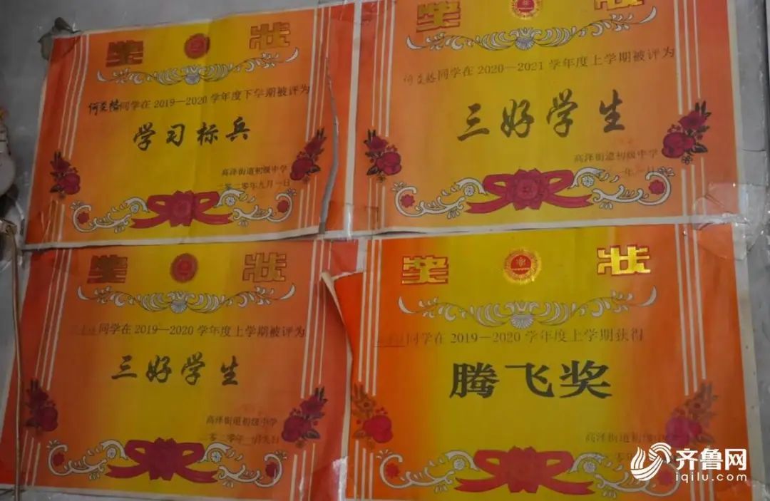 12年！被爷爷背着上学的日照女孩，考上大学了