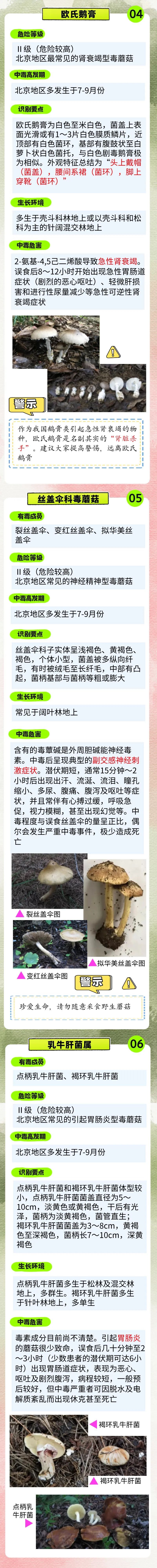 雨后大量出现!可致人中毒!北京疾控提醒—— 雨后大量出现!可致人中毒!北京疾控提醒——