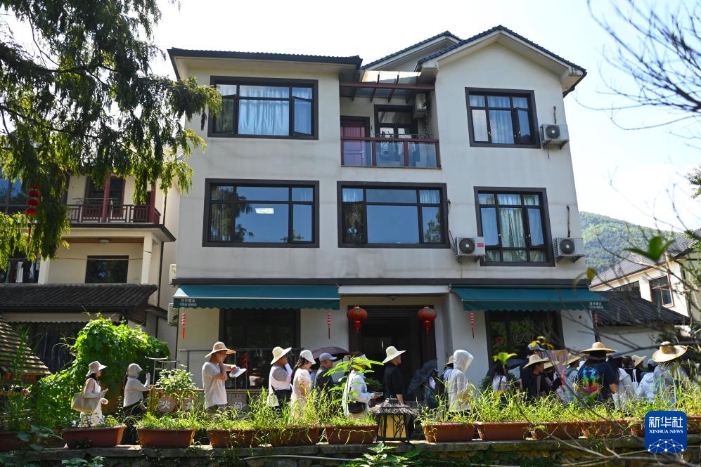 活力中国调研行｜杭州径山村的绿色新活力