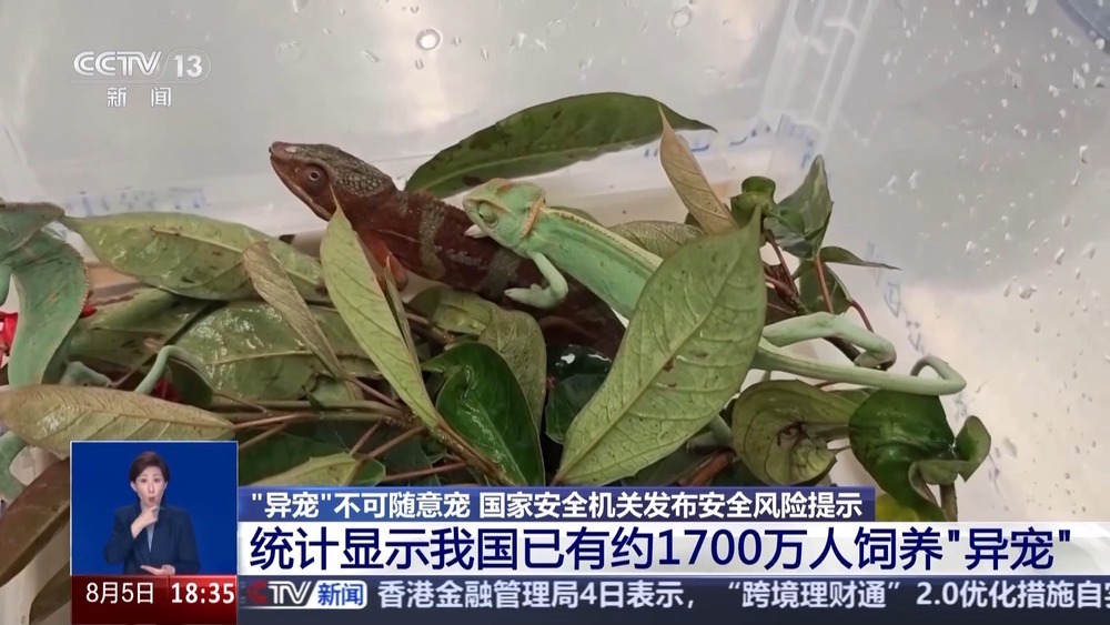 “异宠”不可随意宠 国家安全机关发布安全风险提示