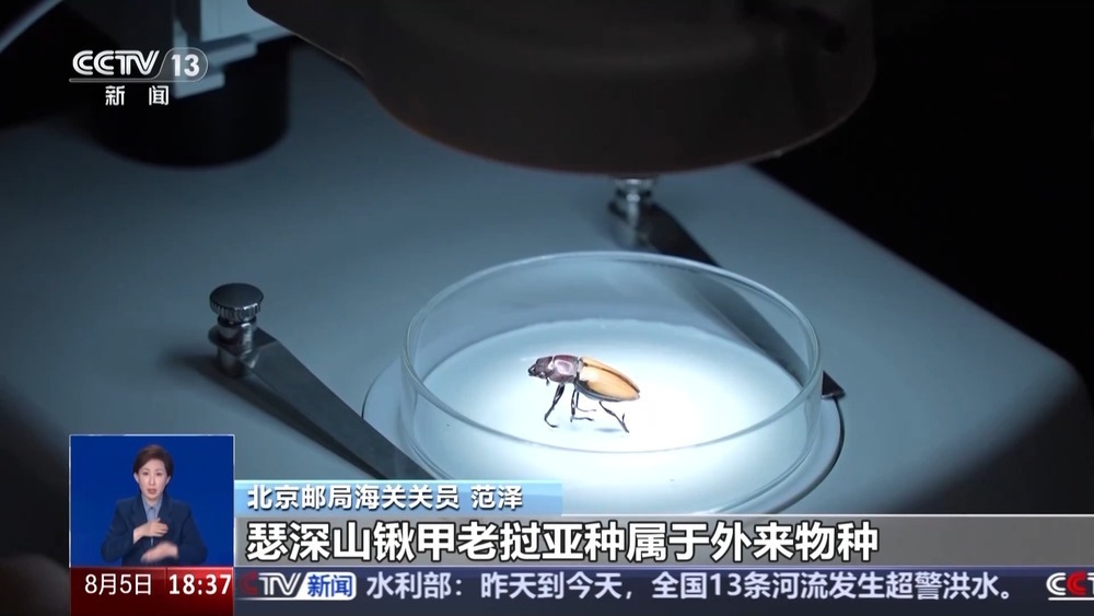 “异宠”不可随意宠 国家安全机关发布安全风险提示