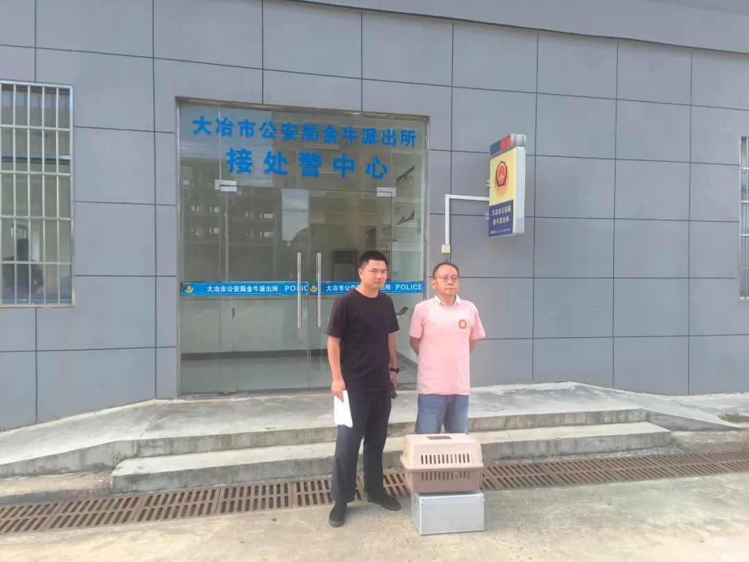 暖心邂逅！受伤白鹭，牵动着他们的心