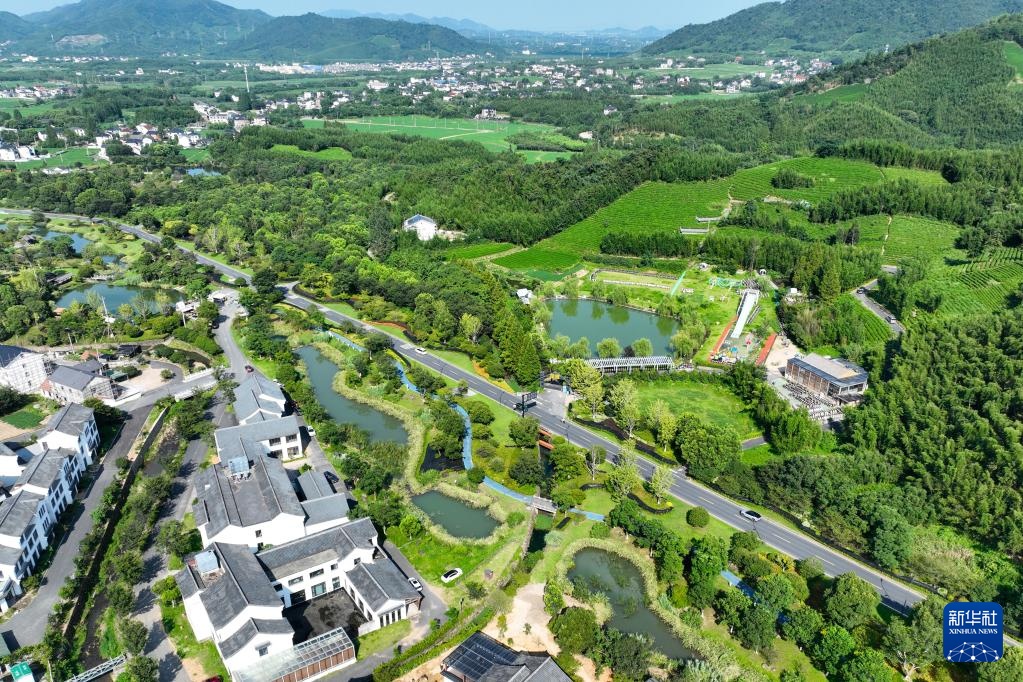 活力中国调研行｜杭州径山村的绿色新活力