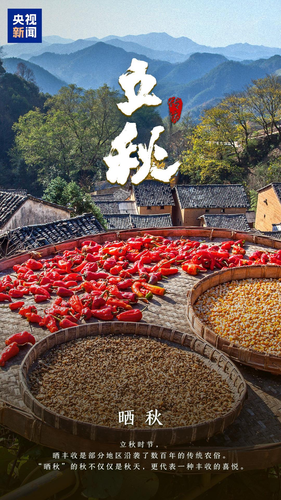 明日立秋，一组海报感受悄然萌动的秋意