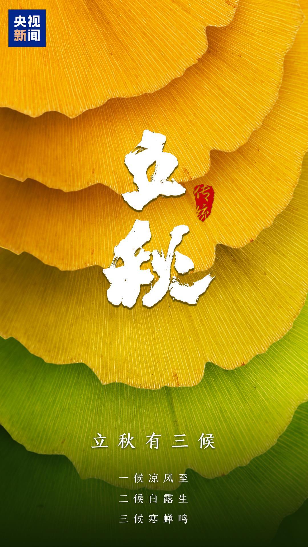 明日立秋，一组海报感受悄然萌动的秋意