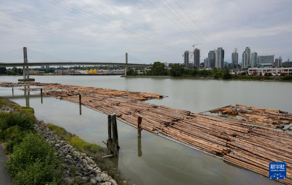 加拿大宣布提供12亿加元支持软木材行业发展