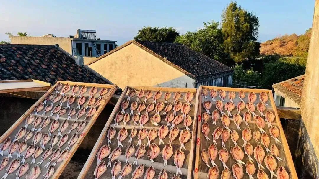 这么快，立秋了！别忘了来点“仪式感”