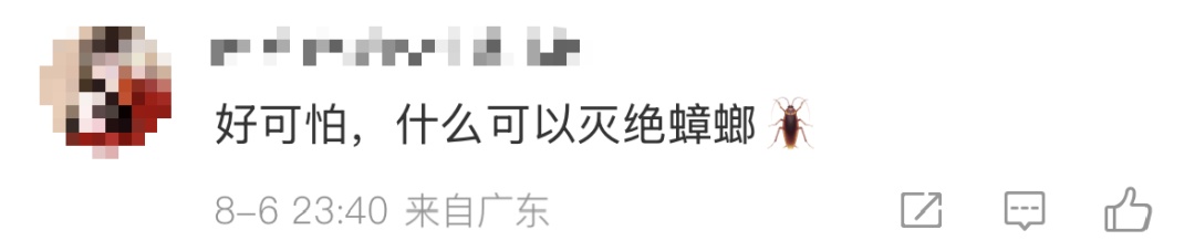 广东暴雨 蟑螂成群出动…… 广东暴雨 蟑螂成群出动……