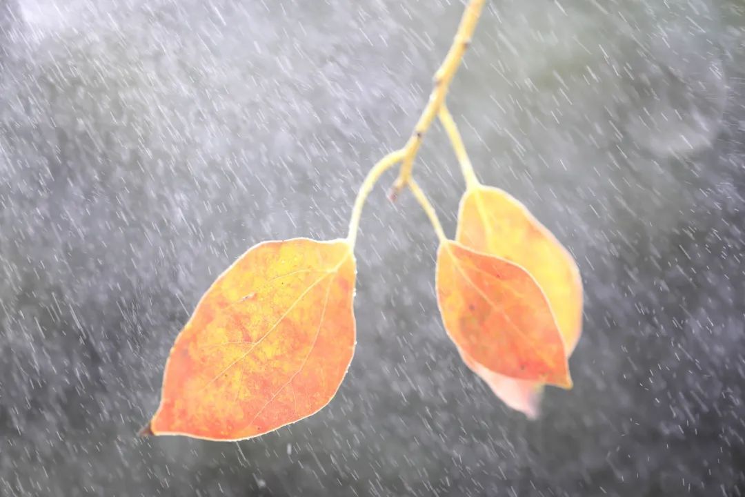 秋天的第一个祝福,送给你! 秋天的第一个祝福,送给你!