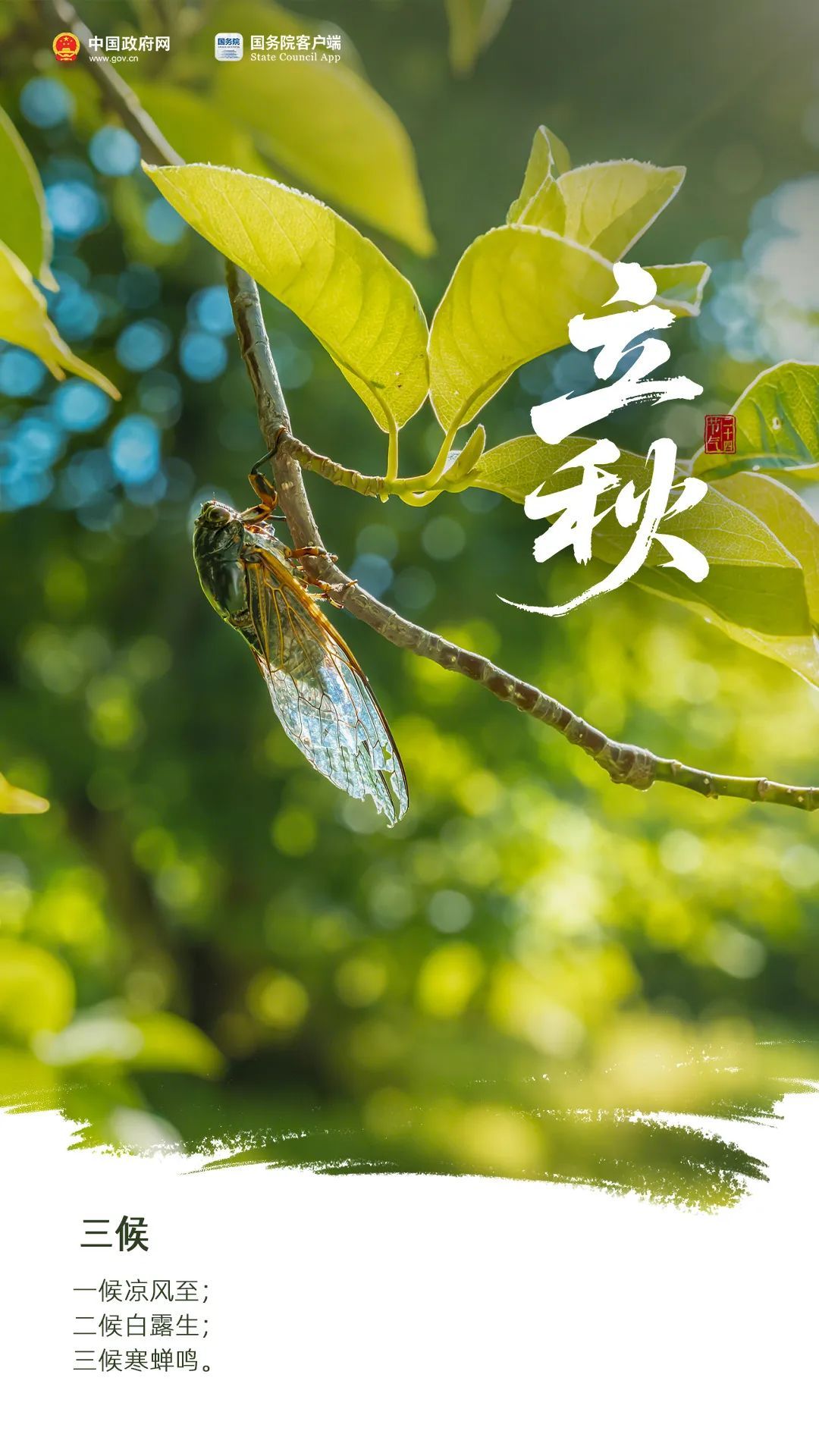 今日立秋 | 想道“天凉好个秋”？其实……