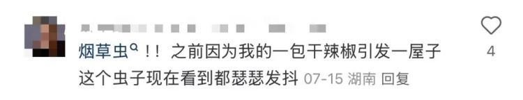 会飞、会爬，不少人家中出现（不是蟑螂）！网友炸锅！发现马上扔！