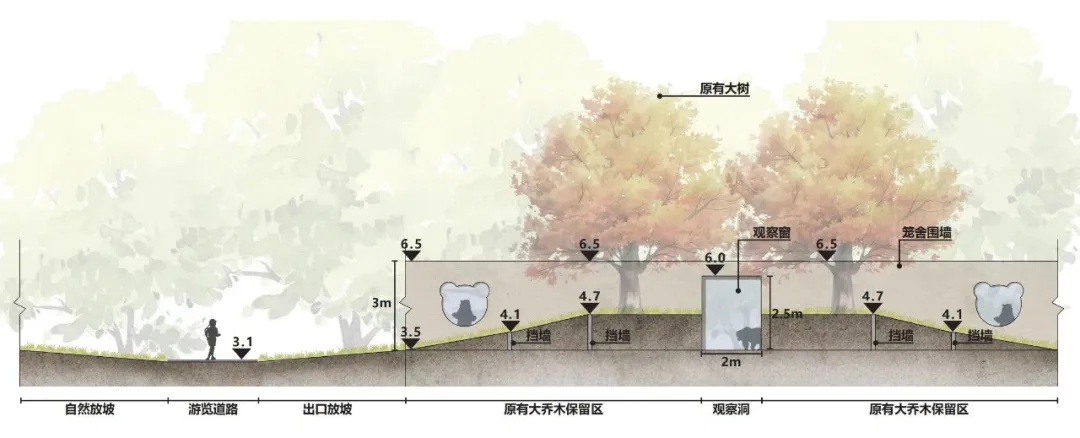 上海动物园“顶流网红”被投喂干燥剂？园方回应：将整改，并征询公众建议