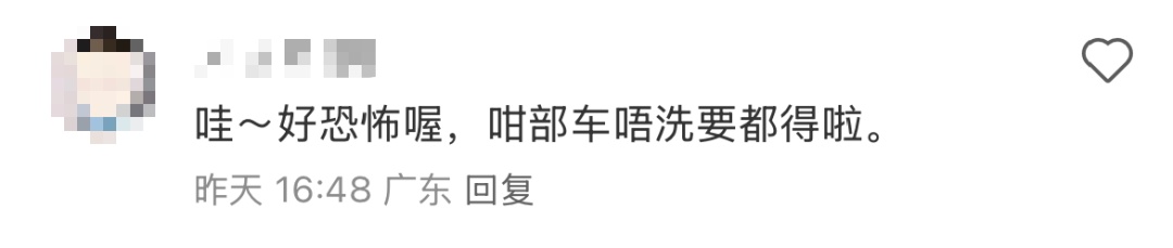 广东暴雨 蟑螂成群出动…… 广东暴雨 蟑螂成群出动……