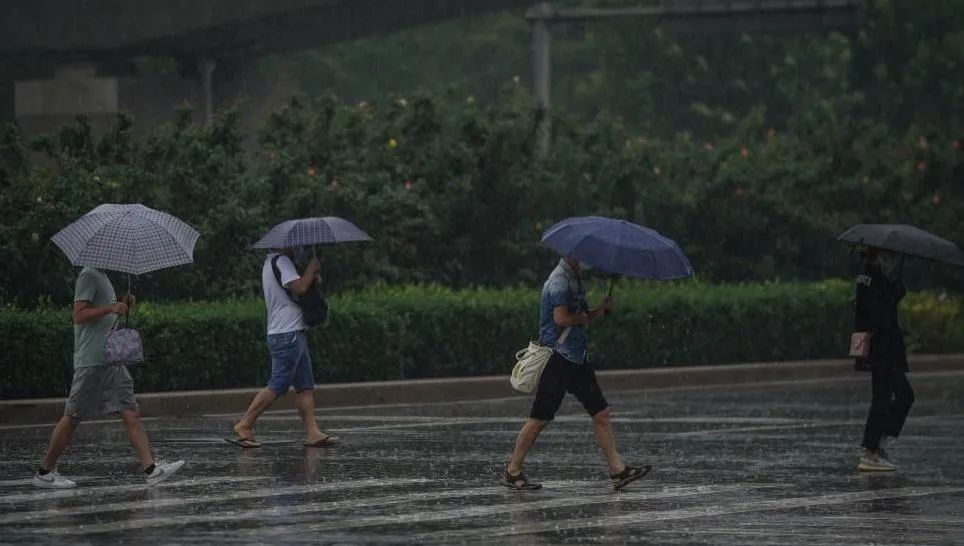 新一轮大范围降雨来袭！济南将迎中到大雨，局部暴雨！