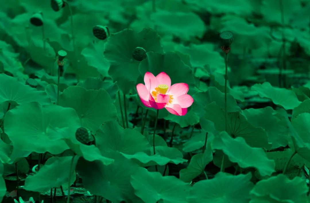 北京立秋后第一场雨即将登场 夜间降雨逐渐增强 北京立秋后第一场雨即将登场 夜间降雨逐渐增强