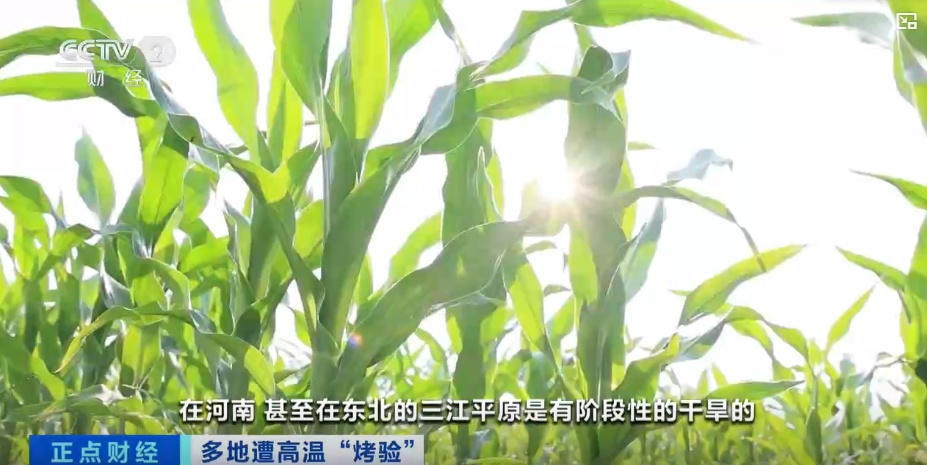 立秋后全国天气趋势如何？高温是否消退？听专家解读