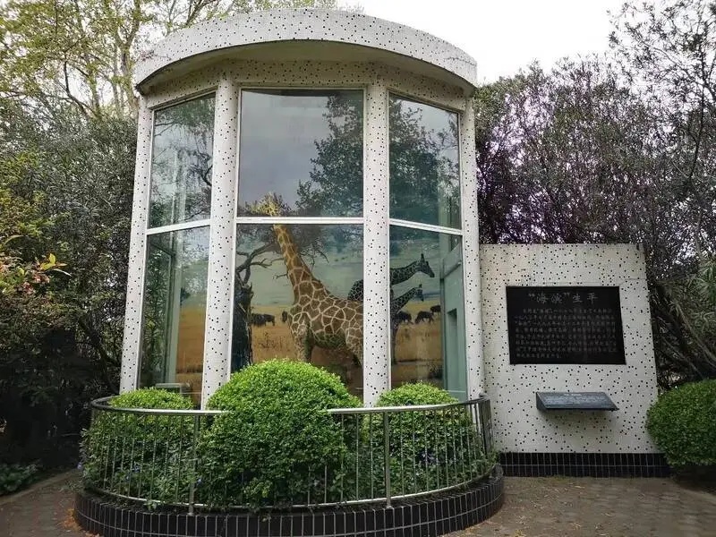 上海动物园“顶流网红”被投喂干燥剂？园方回应：将整改，并征询公众建议