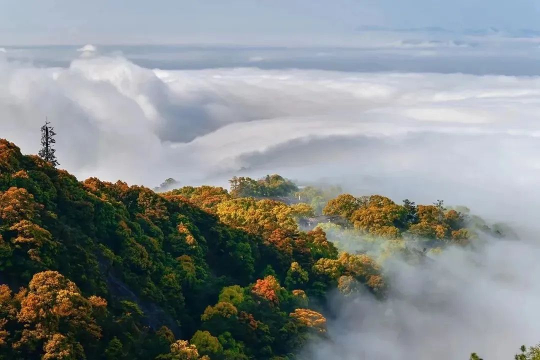 这么快，立秋了！别忘了来点“仪式感”
