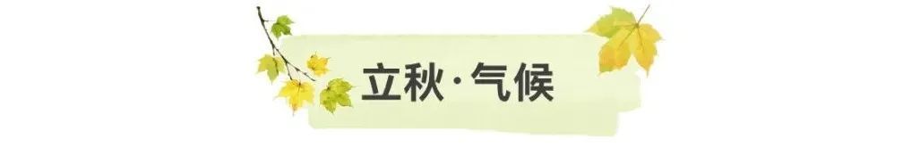 这么快，立秋了！别忘了来点“仪式感”