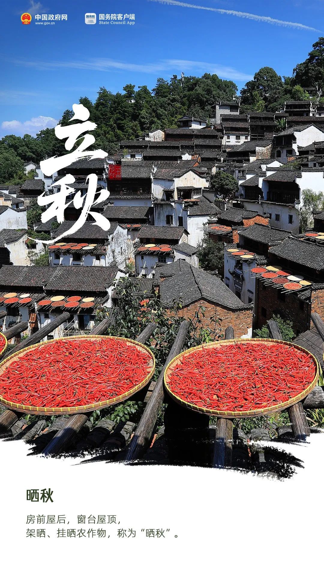 今日立秋 | 想道“天凉好个秋”？其实……