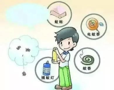 伊蚊传——一只伊蚊的“蚊生”总结