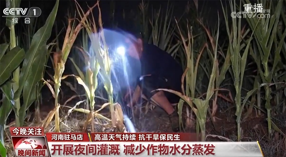 抗干旱保民生在行动 各地多措并举、积极应对为秋粮及时“解暑解渴”
