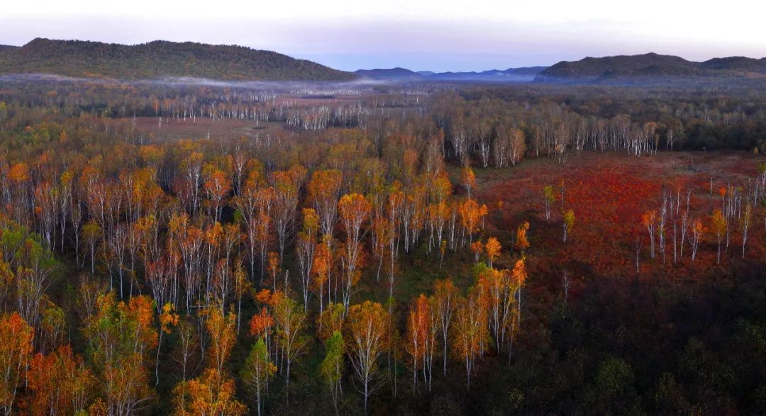 今日立秋,要做这些事! 今日立秋,要做这些事!