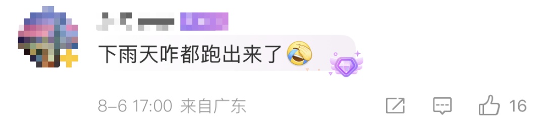 广东暴雨 蟑螂成群出动…… 广东暴雨 蟑螂成群出动……