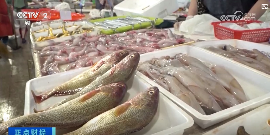 年产值将达20亿元！海上抢收 海洋牧场一片繁忙景象