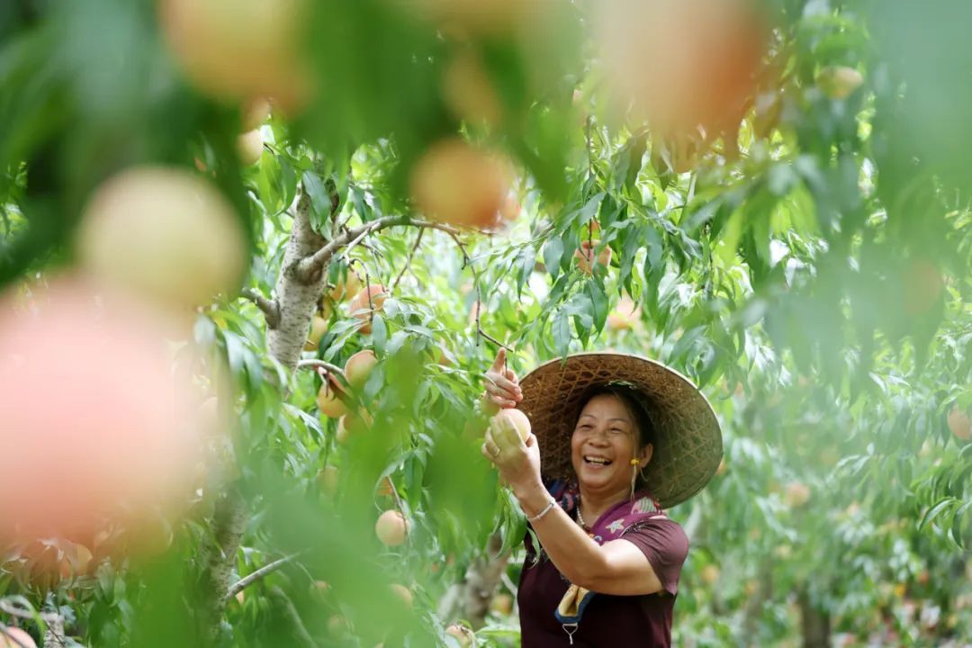 今日立秋,要做这些事! 今日立秋,要做这些事!