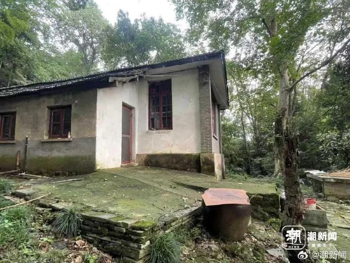 杭州西湖边四间平房1个亿开卖,单价92万/㎡!90岁“房龄”,系名人旧居 杭州西湖边四间平房1个亿开卖,单价92万/㎡!90岁“房龄”,系名人旧居