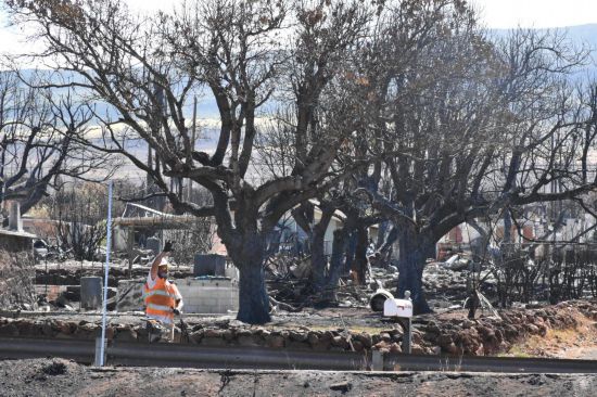 研究推断洛杉矶野火实际致死人数多于发布数字