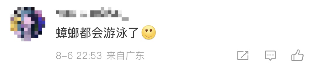 广东暴雨 蟑螂成群出动…… 广东暴雨 蟑螂成群出动……