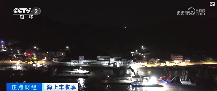 年产值将达20亿元！海上抢收 海洋牧场一片繁忙景象