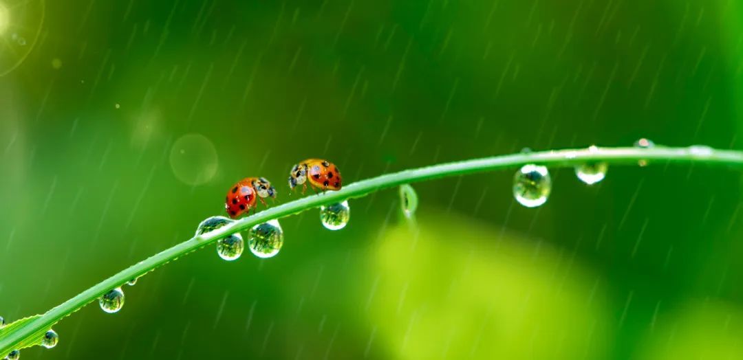 北京立秋后第一场雨即将登场 夜间降雨逐渐增强 北京立秋后第一场雨即将登场 夜间降雨逐渐增强