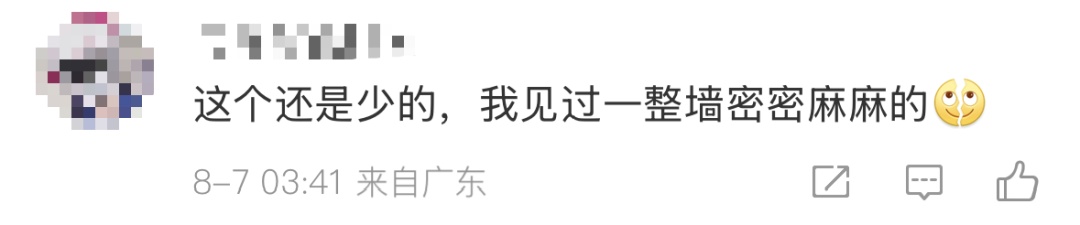 广东暴雨 蟑螂成群出动…… 广东暴雨 蟑螂成群出动……