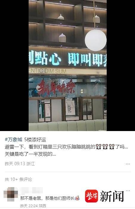 杭州一餐厅灯箱内疑似有老鼠？商场工作人员回应：已第一时间消杀