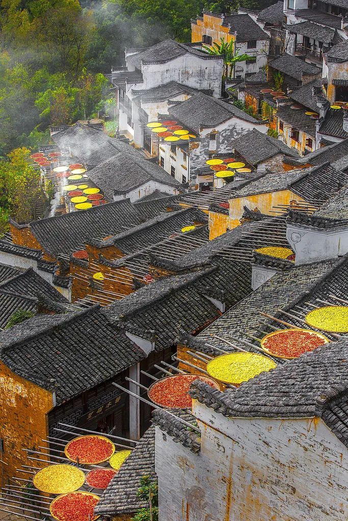 今日立秋,要做这些事! 今日立秋,要做这些事!