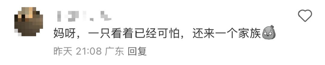 广东暴雨 蟑螂成群出动…… 广东暴雨 蟑螂成群出动……
