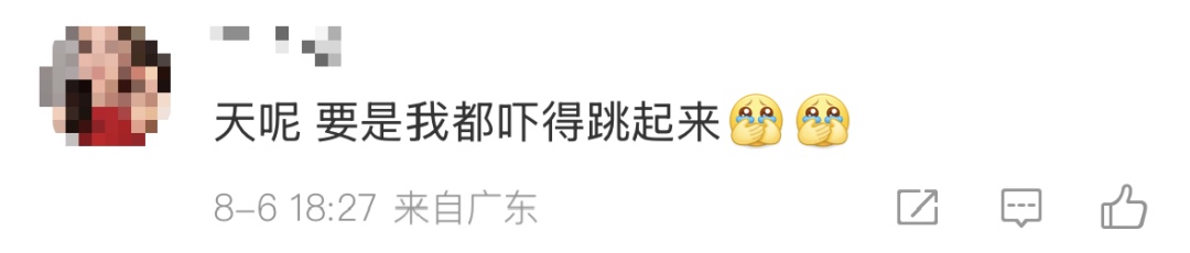 广东暴雨 蟑螂成群出动…… 广东暴雨 蟑螂成群出动……