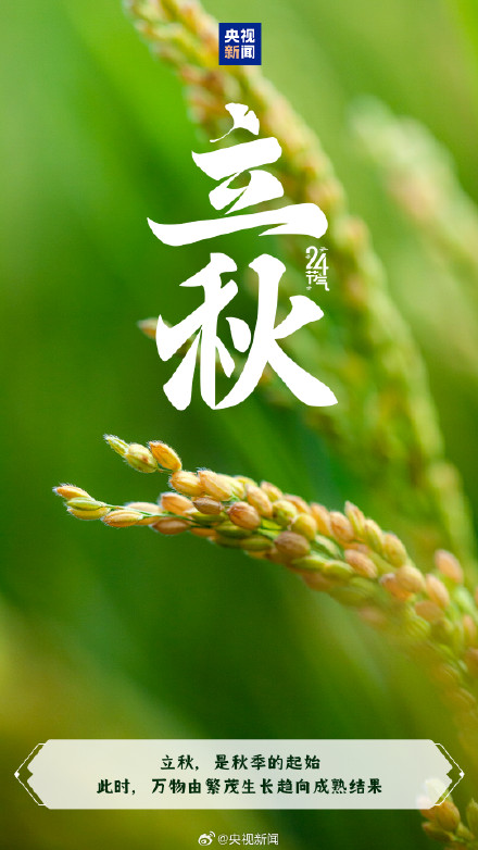 今日,立秋,又该贴秋膘了 今日,立秋,又该贴秋膘了