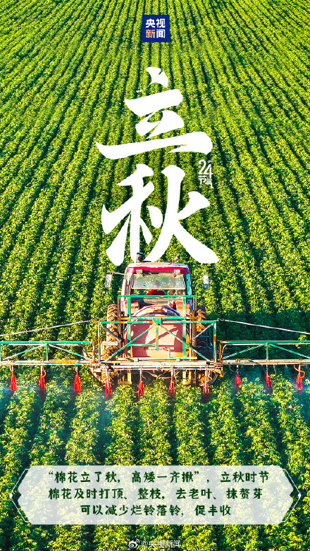 今日,立秋,又该贴秋膘了 今日,立秋,又该贴秋膘了