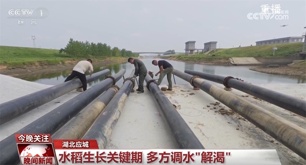 抗干旱保民生在行动 各地多措并举、积极应对为秋粮及时“解暑解渴”