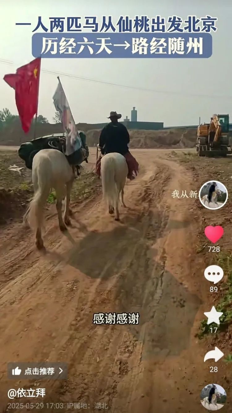 还记得救人去世的“白龙马”吗？主人后来遇到一匹很像它的马，那晚他又梦到“白龙”