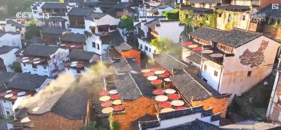 立秋时节：丰收在望，各地秋收秋庆活动丰富多彩