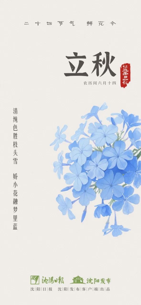 双预警齐发！沈阳将出现雷雨大风天气，阵风风力可达8级以上！