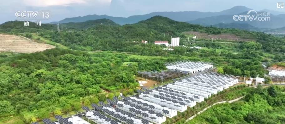 战高温 保民生 多措并举守护夏日清凉 战高温 保民生 多措并举守护夏日清凉