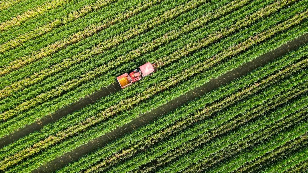 今日立秋,要做这些事! 今日立秋,要做这些事!