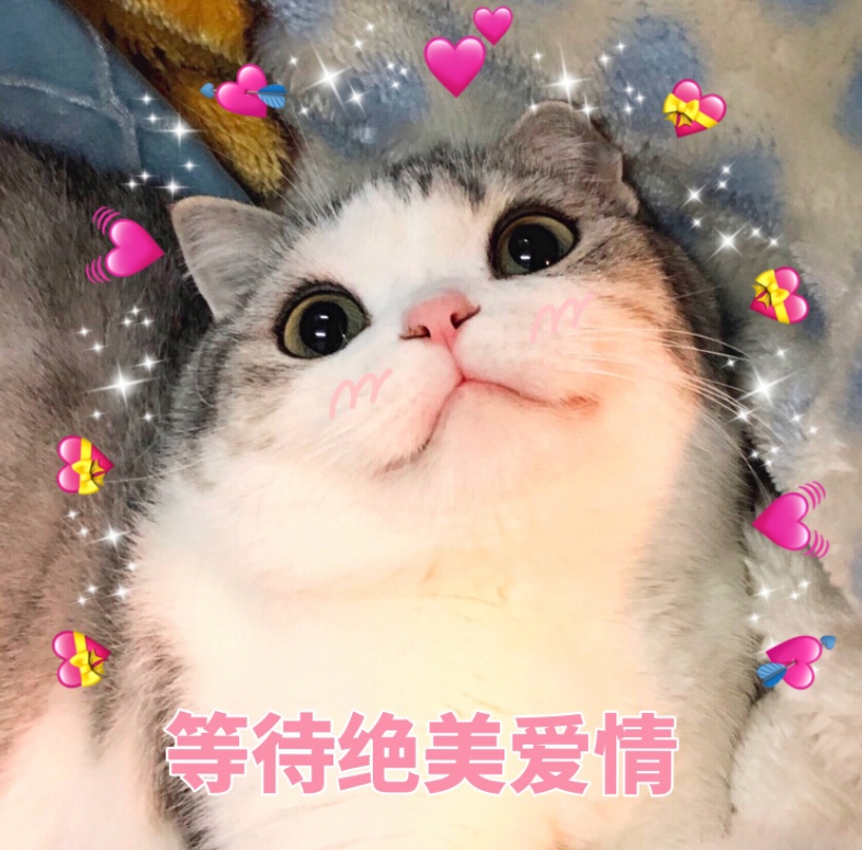 聊天记录曝光！长沙周先生在网上交了个“女友”……